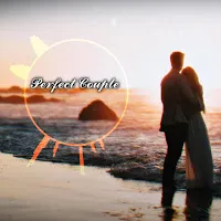 Dj Grossu — Perfect Couple — обложка